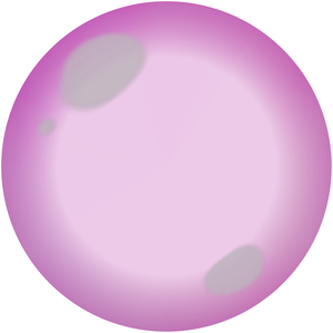 gum